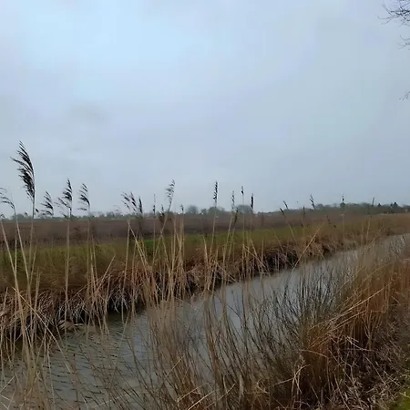 Tatil Evi Timeout - *