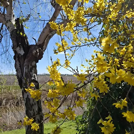 Tatil Evi Timeout - Friedrichskoog