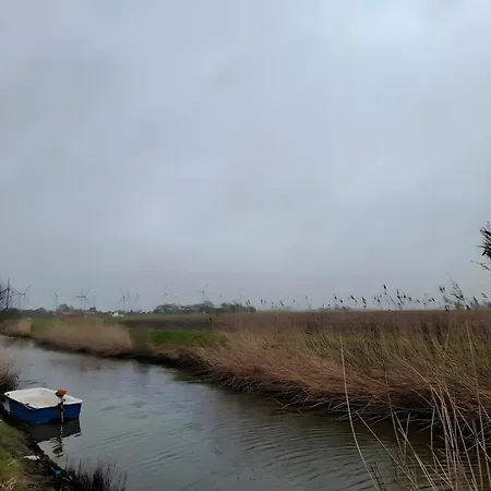 Timeout - Friedrichskoog
